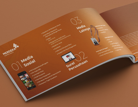 Creating a Unified yet Flexible Visual Communication System
